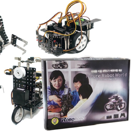 رباتیک - ربات ربوکیت پانکس